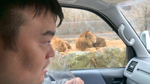 明日葉旅行～富士サファリパーク～