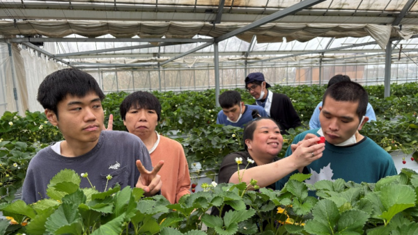 2026.4.1 Let`s Go! イチゴ狩り🍓